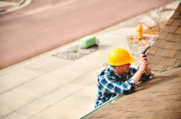 Best Roof Gutter Cleaning  in Carson City, NV