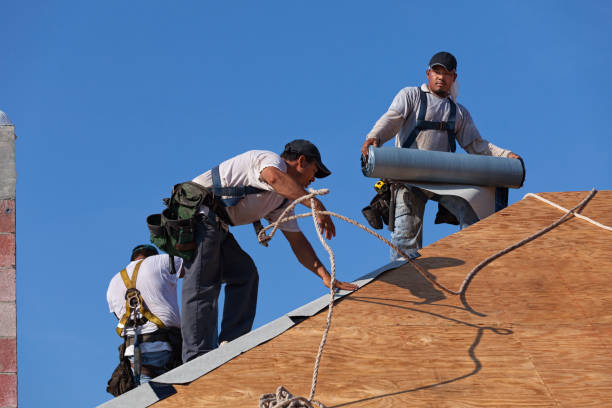 Quick and Trustworthy Emergency Roof Repair Services in Carson City, NV
