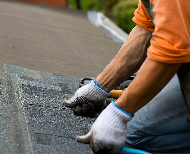 Best Residential Roofing Contractor  in Carson City, NV